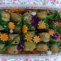ترشی خانگی|خوردنی و آشامیدنی|تهران, نارمک جنوبی|دیوار