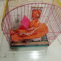 قفس پرنده با تمام تجهیزات