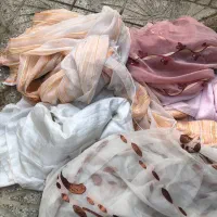 پرده و پشت پرده