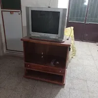 تلویزیون