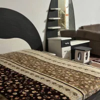 سرویس خواب|تخت و سرویس خواب|اردبیل, |دیوار
