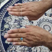 تور ماهیگیری