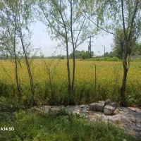 ویلانقلی/سنددار/زیرقیمت/خشکبیجار/املاک مهدی|فروش خانه و ویلا|خشکبیجار, |دیوار