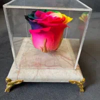 کادو رز طبیعی جاودان با ماندگاری بیش از  ۵سال|صنایع دستی و سایر لوازم تزئینی|شیراز, معالیآباد|دیوار