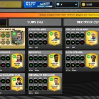 اکانت دی ال اس