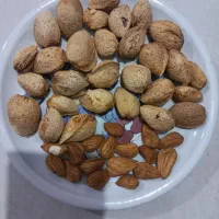 بادام کاغذی تازه