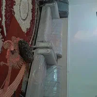 مبلمان 8نفره اسپرت شیک دو رنگ|مبلمان خانگی و میز عسلی|اهواز, الصافی|دیوار