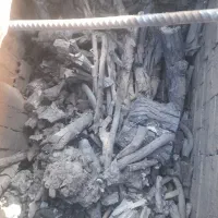 خریدار چوب کار و زغالی|خدمات باغبانی و درختکاری|سمیرم, |دیوار