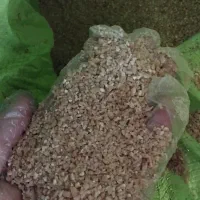 دانه مرغ