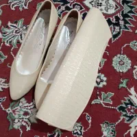 کیف و کفش مجلسی