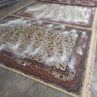 کارگر راننده قالیشویی با گواهی نامه