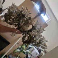 لوستر ۶ شاخه فرشته ای|لوستر و چراغ آویز|اصفهان, بهارستان|دیوار