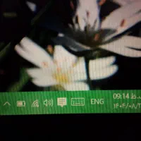 لب تاب دل با ویندوز 10 سالم و سرحال|رایانه همراه|لاهیجان, لیالستان|دیوار