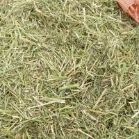 فروش یونجه درجه یک وبلوط|عمدهفروشی|رامهرمز, |دیوار