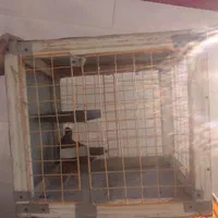 قفس پرنده