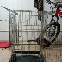 قفس پرنده
