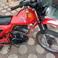 xl249نیکتاز
