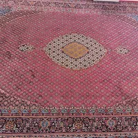 فرش ۱۲ متری لاکی|فرش|مشهد, هفت تیر (حافظ)|دیوار