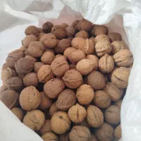 گردو امسال|خوردنی و آشامیدنی|تهران, افسریه جنوبی|دیوار