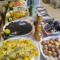 کاروان زیارتی کربلا و نجف