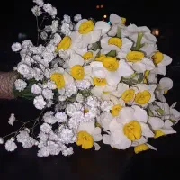 نیروی گلفروشی