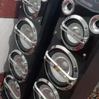 باند خانگی بزرگ میکرولب