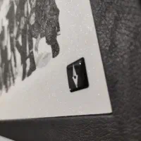 عکس شایع|تابلو، نقاشی، عکس|محمدشهر, همایون ویلا|دیوار