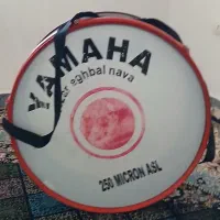 طبل یا دوحل