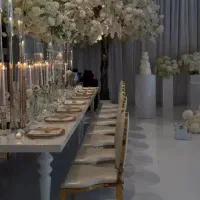 صندلی تالار السا|میز و صندلی غذاخوری|احمدآبادمستوفی, |دیوار