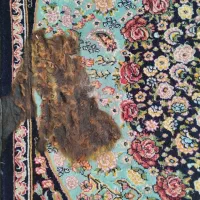 رفوگری وترمیم فرش کرمانشاه|خدمات پیشه و مهارت|سرپل ذهاب, |دیوار