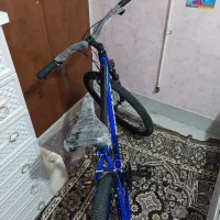دوچرخه ۲۹ راکی|دوچرخه، اسکیت، اسکوتر|قم, عمار یاسر|دیوار