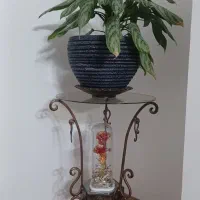 گلدان و پایه|گل و گیاه طبیعی|قم, بنیاد|دیوار