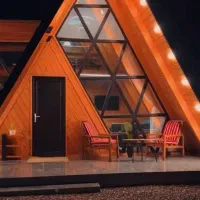 (پوشش سقف ، دکوراسیون )