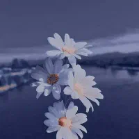 کامنت بزار هدیه بگیر