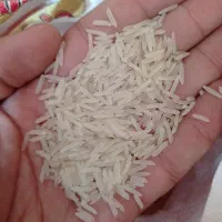 عمده و تکفروشی مواد غذایی|خدمات پذیرایی، مراسم|بندر امام خمینی, |دیوار