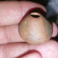 هبهاب مغربی گبری