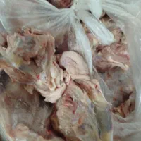 غذای سگ