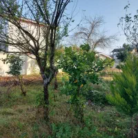 ویلا باغ۱۰۰۰متر۲خواب دوبلکس فول فرنیش ۵دقیقه نور