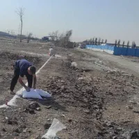 زمین با سند تک برگ  خلیج شماره ۲