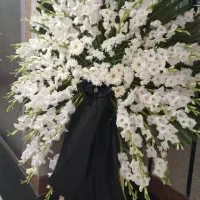 تاج گل|گل و گیاه طبیعی|تهران, فرحزاد|دیوار