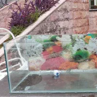 شیشه آکواریوم