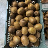 صادرات کیوی . صادرات و واردات از بازرگان