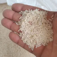 200 کیلو طارم هاشمی خالص امساله ارگانیک
