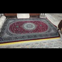 فرش|فرش|رشت, دیلمان|دیوار