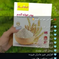 شامپو رزماری اصل|آرایشی، بهداشتی، درمانی|داراب, |دیوار