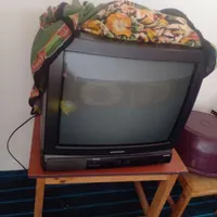 تلویزیون