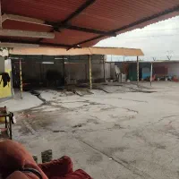 کارگرحرفه ای کارواش