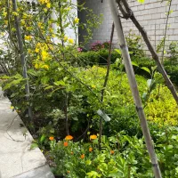 ۹۱متر/ویلائی/دوخوابه/ویومشجر/شهرک نفت منطقه یک