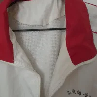 بادگیر مردانه|لباس|فردیس, نگارستان|دیوار