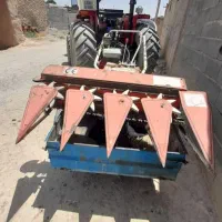 تیلریونجه وعلف زن